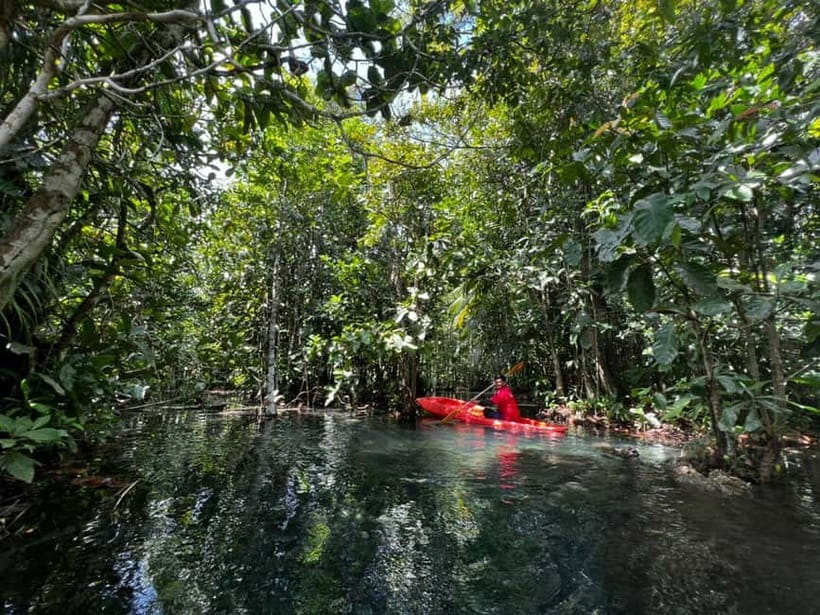 Klong Rud Kayaking with Hotel Transfer - Starting at Klongroot Viewpoint Pier