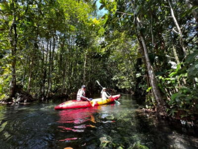 Klong Rud Kayaking with Hotel Transfer