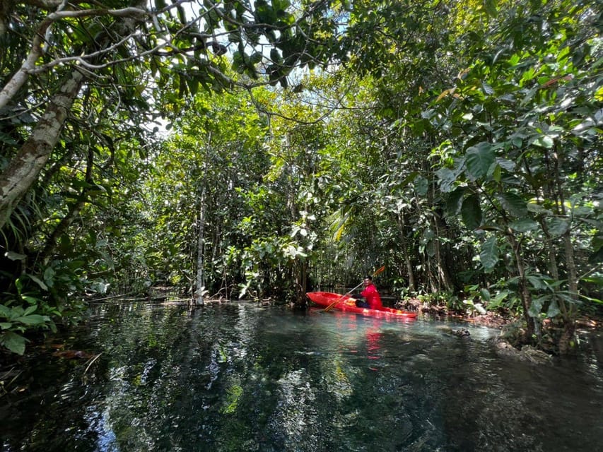 Klong Rud Kayaking with Hotel Transfer - Fruit, water, and the return to Ao Nang