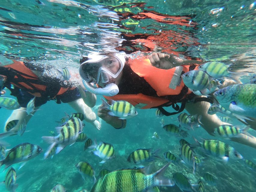 Krabi 4 Island One Day Tour by Speed boat or Longtail boat - Who should book this Krabi boat trip?
