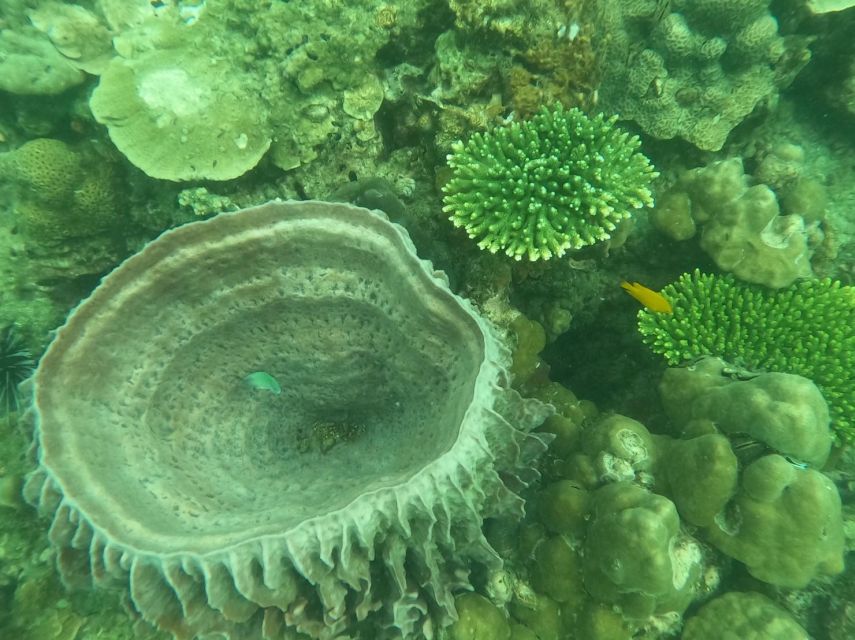 Krabi: 4 Islands & Krabi's Separated Sea Longtail Boat Tour - Starting from Ao Nang in the morning