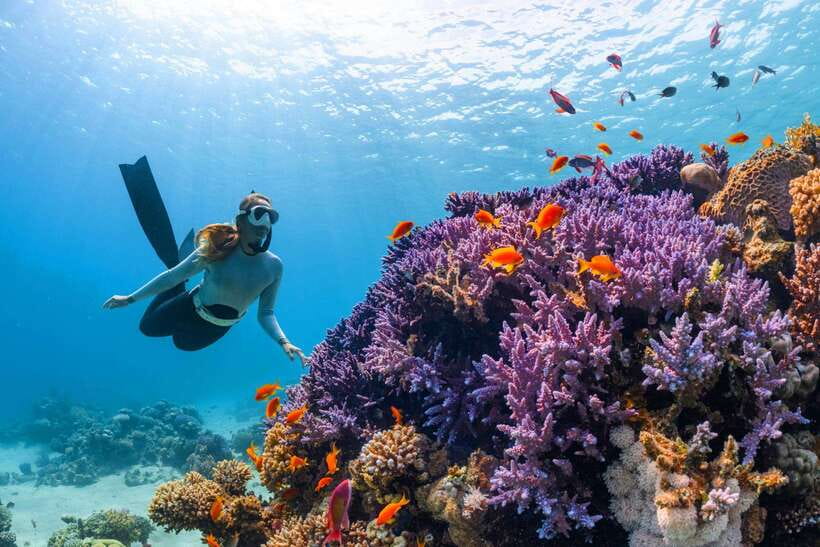 Krabi: 7 Islands Sunset Tour with Plankton Swim and BBQ - Who should book this tour?