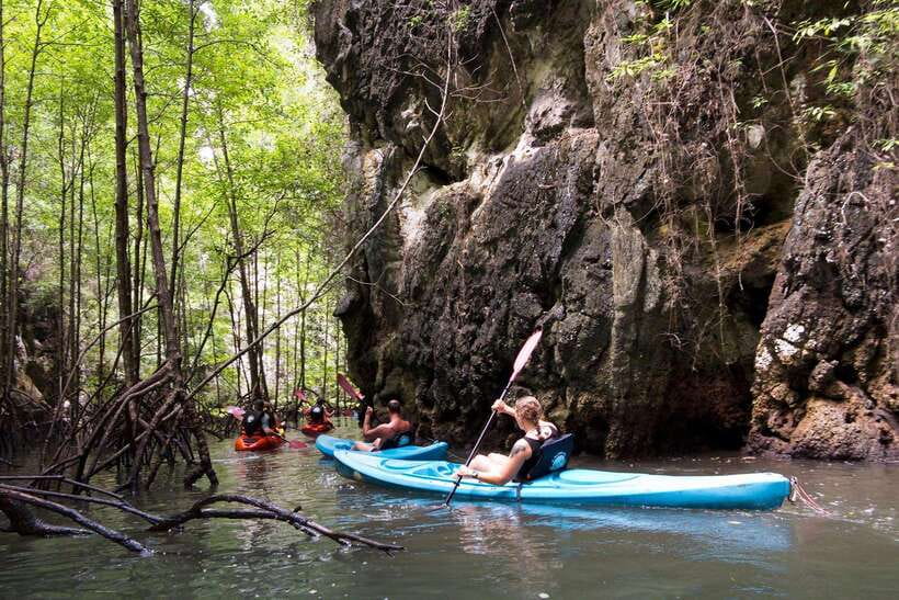 Krabi: A Kayaking Odyssey through Din Daeng Mangrove Maze - Din Daeng Canyon and its narrow green channels