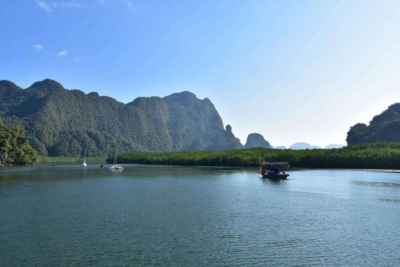 Krabi: A Kayaking Odyssey through Din Daeng Mangrove Maze - The mangrove forest and Ko Ha