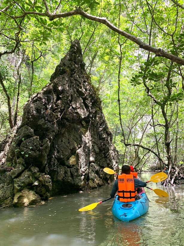 Krabi: A Kayaking Odyssey through Din Daeng Mangrove Maze - Who will enjoy this kayaking trip