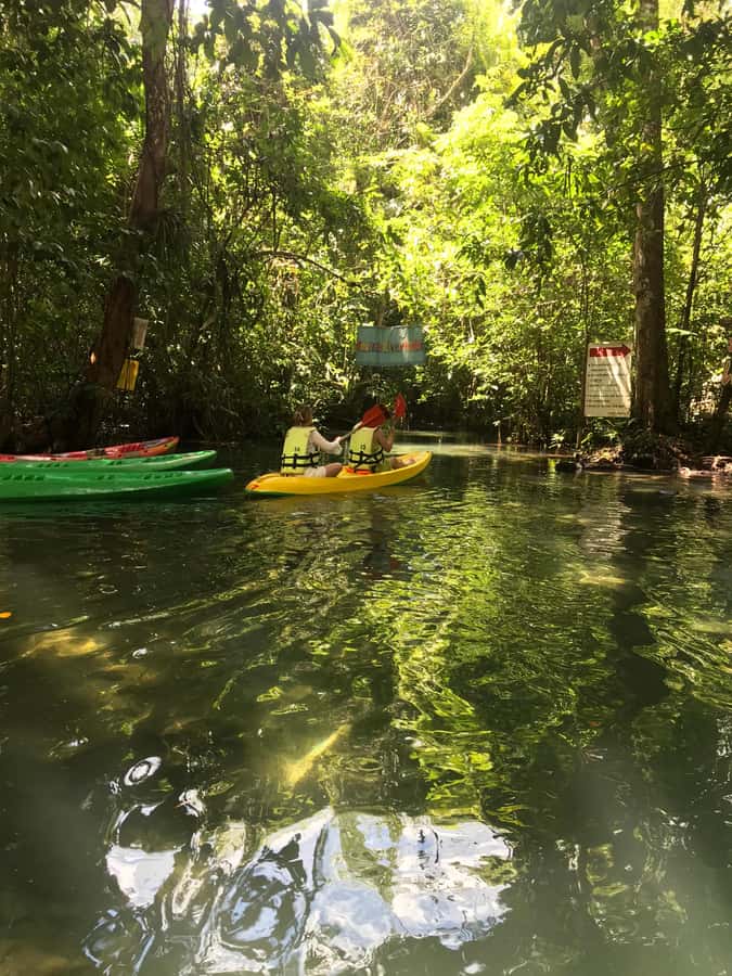 Krabi: Amazon Klong Srakaew Kayaking With Lunch - A quiet water escape from busy Krabi