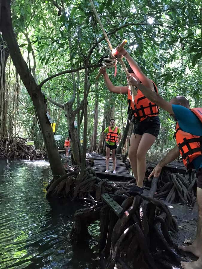 Krabi: Amazon Klong Srakaew Kayaking With Lunch - Nature, conservation, and animal concerns