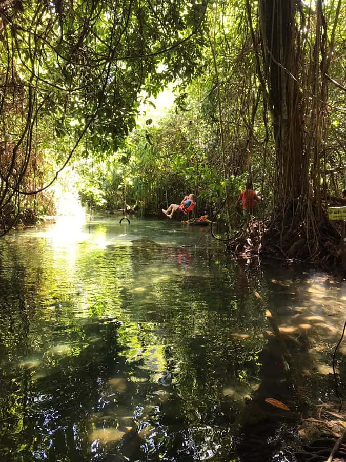 Krabi: Amazon Klong Srakaew Kayaking With Lunch - Practical preparation for the water