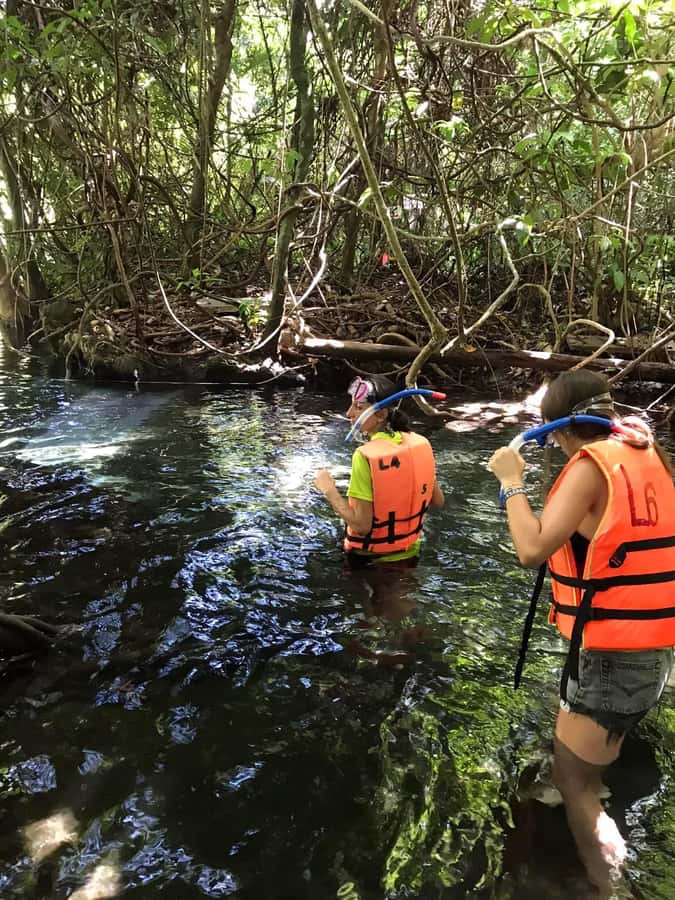 Krabi: Amazon Klong Srakaew Kayaking With Lunch - Floating with the current