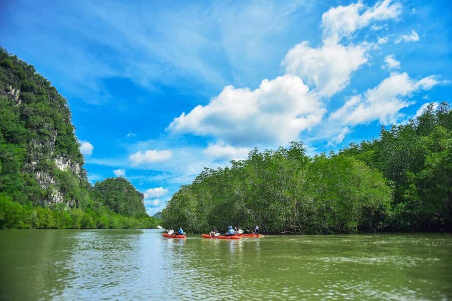 Krabi: Ao Thalane Mangrove Kayaking with Extras - What the tide means for your route