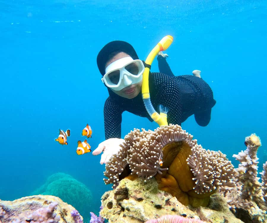 Krabi: Bioluminescent Plankton, Snorkeling & Sunset Tour - Chicken Island brings the best snorkeling