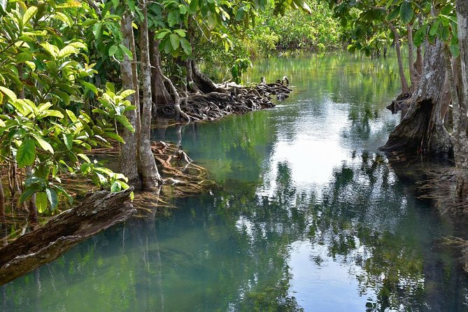 Krabi Countryside Eco Cycling Tour - Multiple Trails - What the named stops add to the day