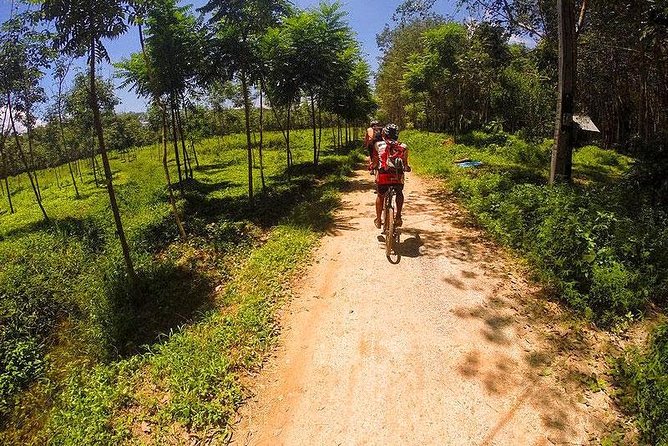 Krabi Countryside Eco Cycling Tour - Multiple Trails - Is the $51.84 price good value?