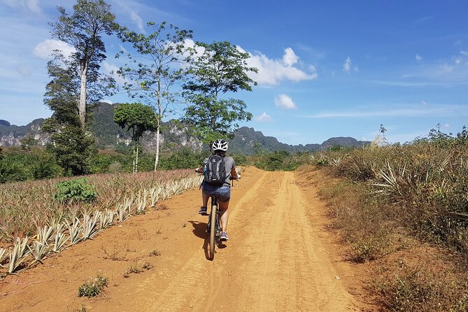Krabi Countryside Eco Cycling Tour - Multiple Trails - Riding through villages, plantations, and forest
