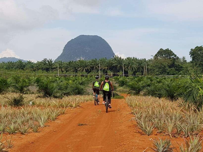 Krabi: Eco-Cycling Tour with Nature, Culture, and Fun - The Andaman Coast at Bicycle Speed