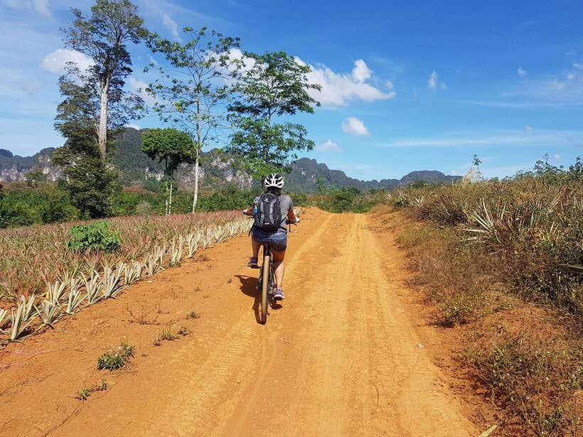 Krabi: Eco-Cycling Tour with Nature, Culture, and Fun - What to Pack for a Smooth Ride