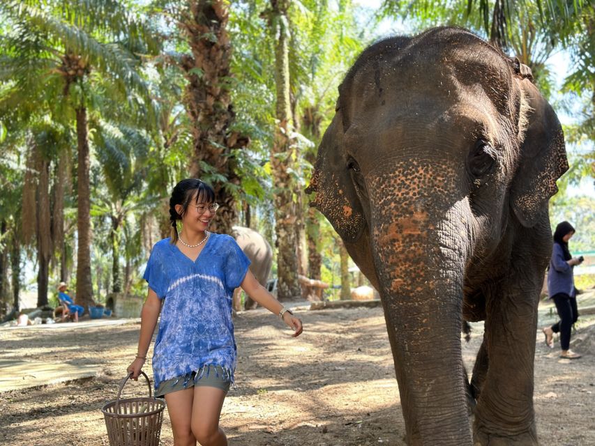 Krabi: Elephant Bathing Session at Krabi Elephant Shelter - Key points at a glance
