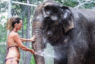 Elephant Bathing Session at Krabi Elephant Shelter