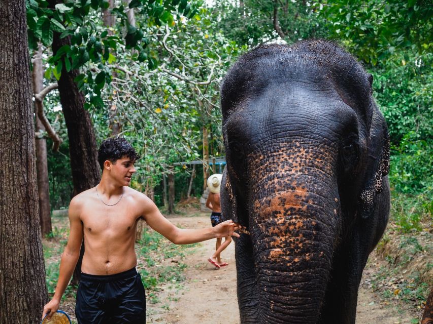 Krabi: Elephant Bathing Session at Krabi Elephant Shelter - Transport from Ao Nang, Klong Muang, and the piers