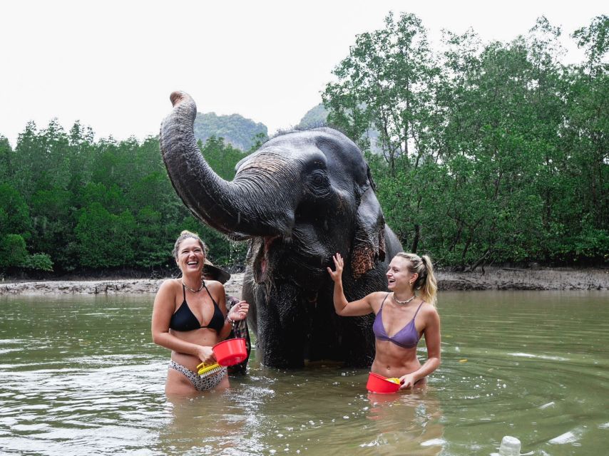Krabi: Elephant Bathing Session at Krabi Elephant Shelter - Who should book this Krabi activity?