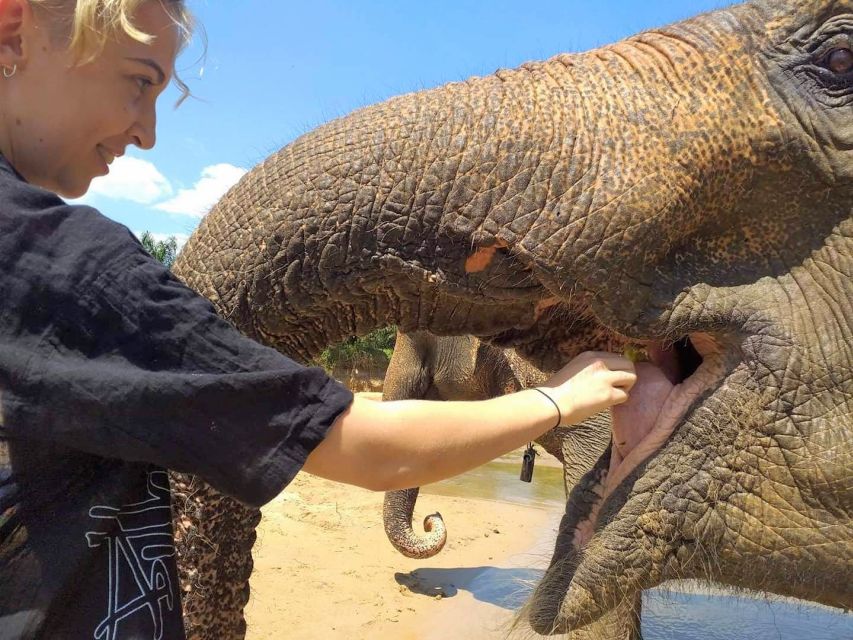 Krabi: Elephant Care House Guided Tour with Hotel Transfers - Reaching the forest outside Krabi