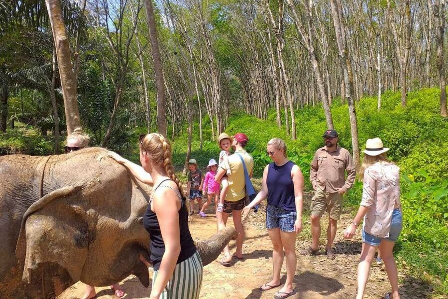 Krabi: Elephant Care House Guided Tour with Hotel Transfers - Starting with a safety briefing