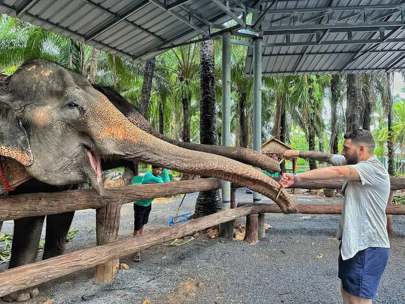 Krabi: Elephant Feeding Program with Food Preparation - Key points to know before you book