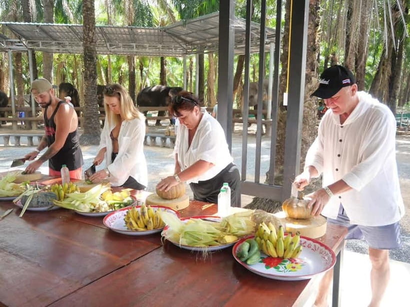 Krabi: Elephant Feeding Program with Food Preparation - Feeding by hand under caretaker guidance