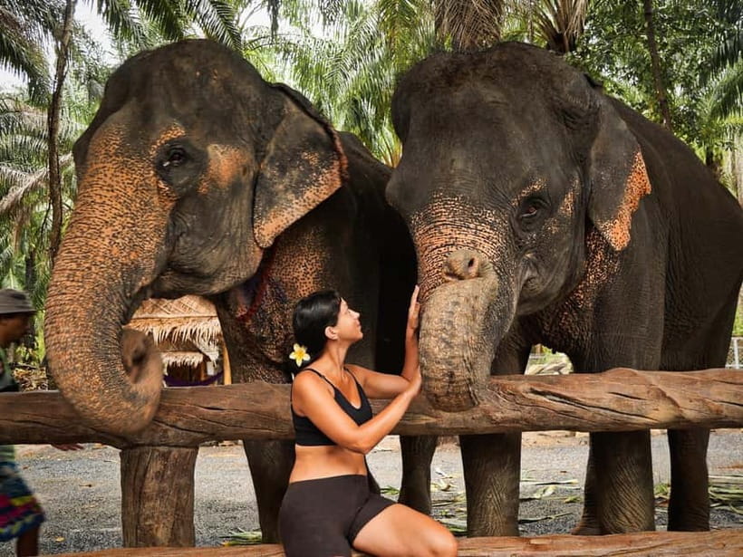 Krabi: Elephant Feeding Program with Food Preparation - Who will enjoy this elephant encounter