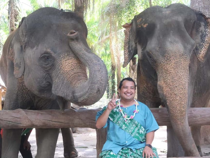 Krabi: Elephant Feeding Program with Traditional Thai Dress - What the 30-minute schedule really means