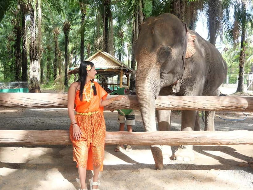 Krabi: Elephant Feeding Program with Traditional Thai Dress - Feeding the elephants without a show