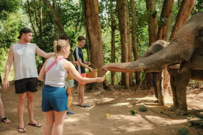 Elephant Sanctuary (near Ao Nang) Visit
