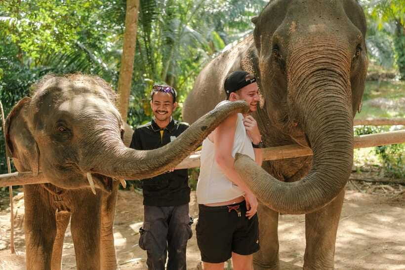 Krabi: Elephant Sanctuary (near Ao Nang) Visit - Feeding with bananas, sugarcane, and seasonal fruit