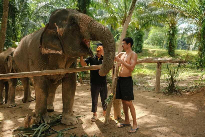 Krabi: Elephant Sanctuary (near Ao Nang) Visit - A small sanctuary with a calm feel