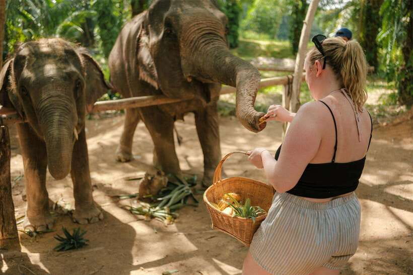 Krabi: Elephant Sanctuary (near Ao Nang) Visit - What the $22 price includes