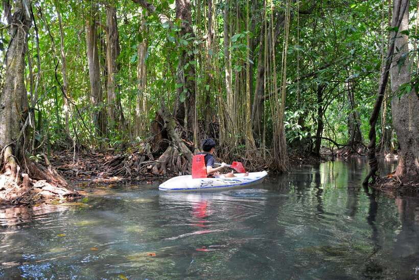 Krabi: Emerald Cool-Down & Kayak Odyssey in Din Daeng Canyon - Key points to know before booking