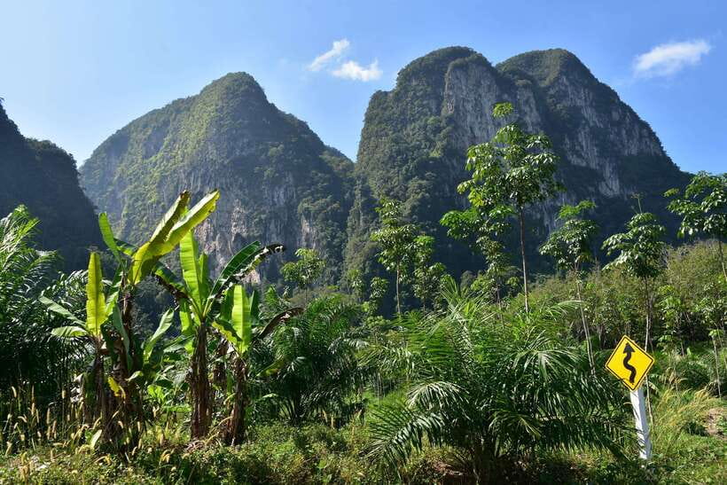Krabi: Emerald Cool-Down & Kayak Odyssey in Din Daeng Canyon - Thai lunch beside Ao Thalane Pier