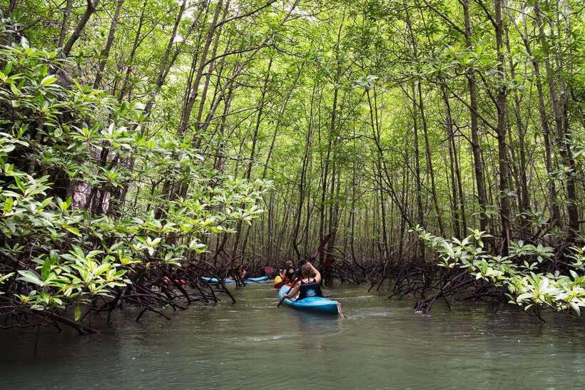 Krabi: Emerald Cool-Down & Kayak Odyssey in Din Daeng Canyon - Cooling off at Sra Keaw stream