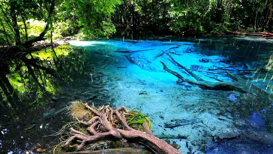 Krabi: Emerald Pool and Hot Springs Waterfall Half-Day Trip - Should you book the Emerald Pool and Hot Springs tour?