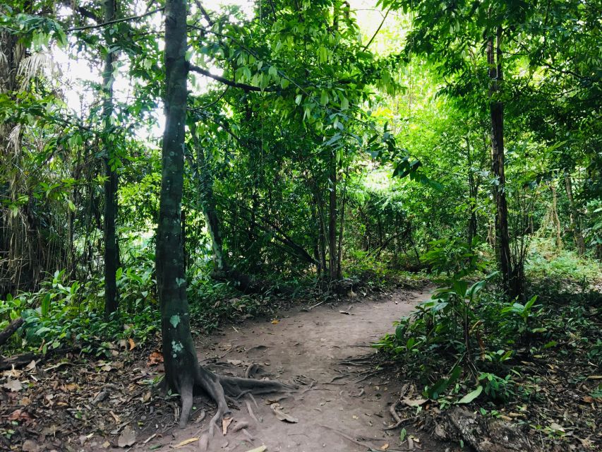 Krabi: Emerald Pool and Hot Springs Waterfall Half-Day Trip - Two water experiences in one Krabi outing