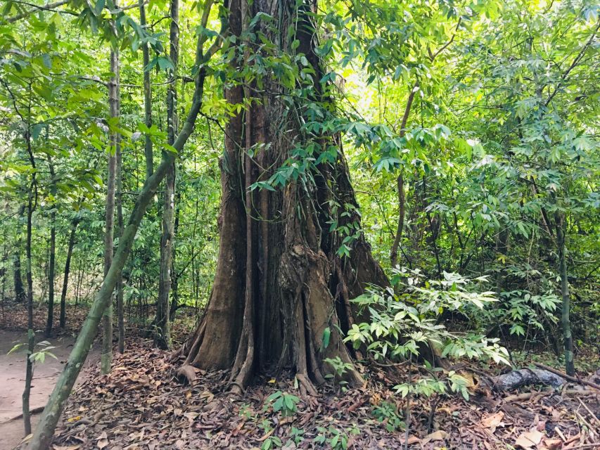 Krabi: Emerald Pool and Hot Springs Waterfall Half-Day Trip - Walking through Khao Phra Bang Khram Nature Reserve