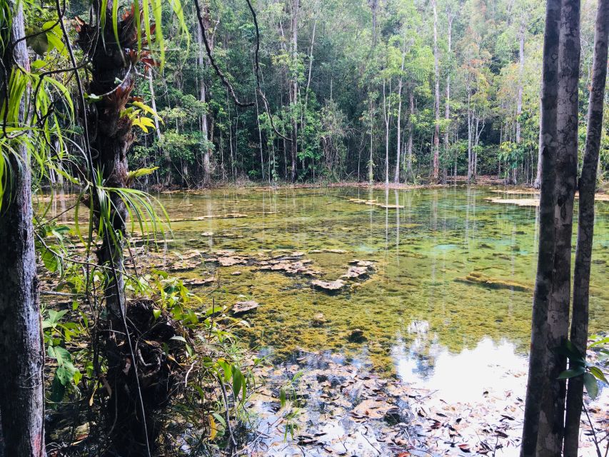 Krabi: Emerald Pool and Hot Springs Waterfall Half-Day Trip - The Emerald Pool and its famous green water