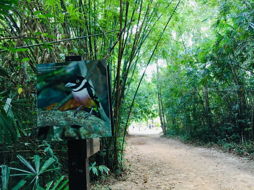 Krabi: Emerald Pool and Hot Springs Waterfall Half-Day Trip - What the $43 price really covers