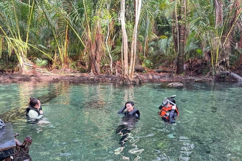 Krabi: Emerald Pool, Hot Springs, and Kayaking Tour - What the $69 price really covers