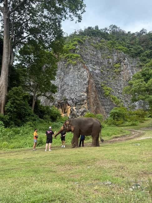Krabi: Ethical Elephant Sanctuary & Tiger Cave Temple Tour - Key points to know before booking