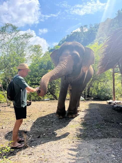Krabi: Ethical Elephant Sanctuary & Tiger Cave Temple Tour - Tiger Cave Temple and the 1,237-step challenge