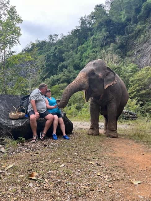 Krabi: Ethical Elephant Sanctuary & Tiger Cave Temple Tour - Should you book the Elephant Sanctuary and Tiger Cave Temple tour?