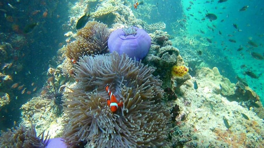 Krabi: Freediving and Snorkeling at Yawasam and Talu Island - The ride past Railay and the way back