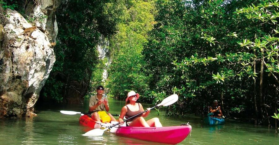 Krabi: Guided Kayaking Tour at Ao Thalane - The pickup from Ao Nang and nearby Krabi areas