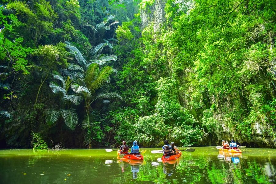 Krabi: Half-Day Bor Thor Mangrove Kayaking Tour - Why Bor Thor is more than a kayak outing